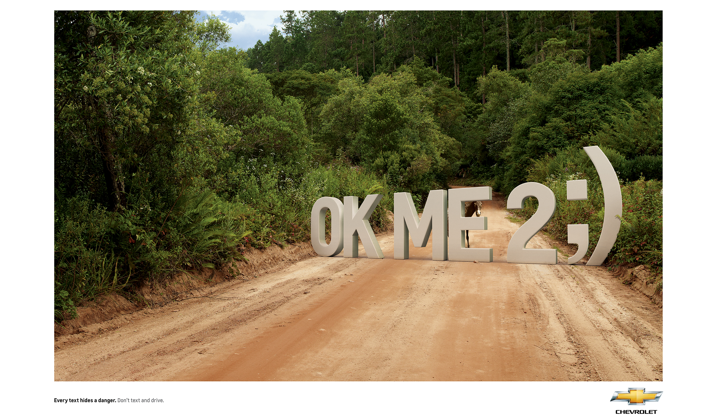 An empty offroad road with a dunkey on the way. In front of the dunkey there are big letters saying 'Ok me 2 ;)' hidding him. The text says 'Every text hides a danger. Don't text and drive'